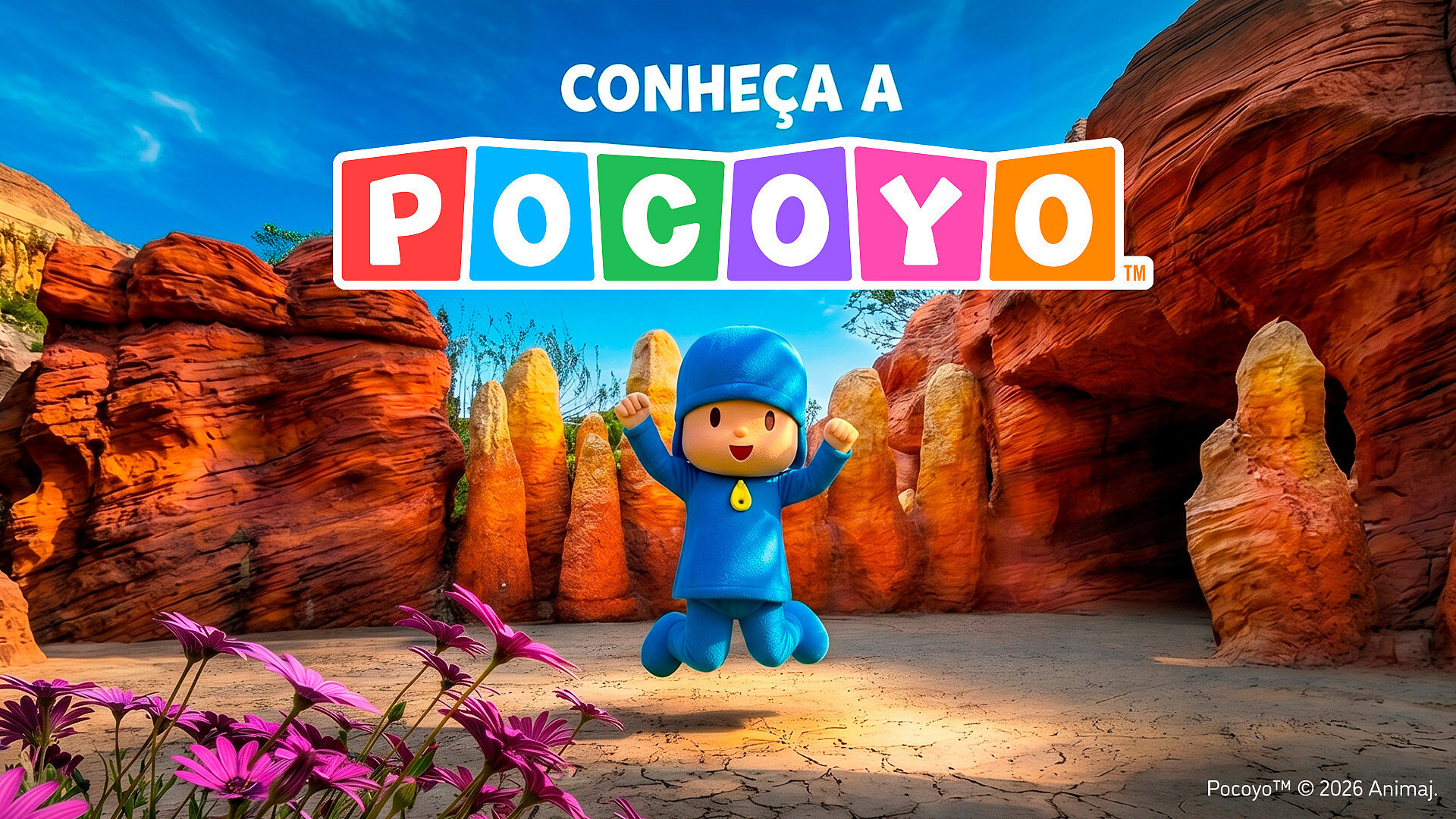Conhece o Pocoyó